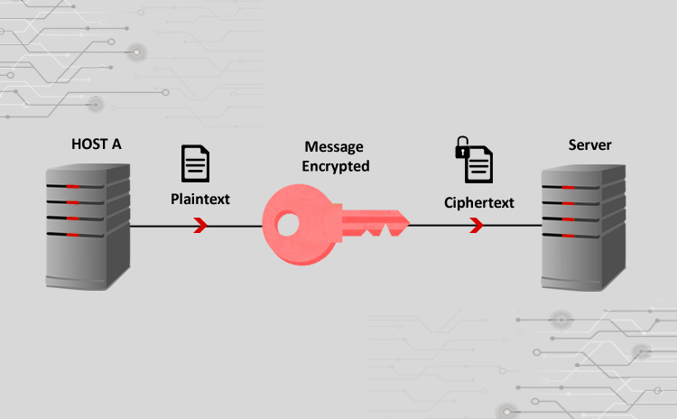 Cyber Attacks Explained – Cryptographic Attacks