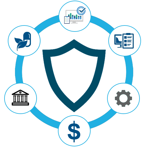 IT Network Penetration Testing Scanning  Services Provider Vendor , Types of network vapt