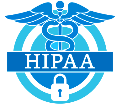   Vendor company for IT ISO27001 PCIDSS HIPAA Audits, Process