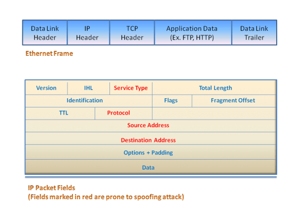 Network Packet Vulnerability Assessment Pune India